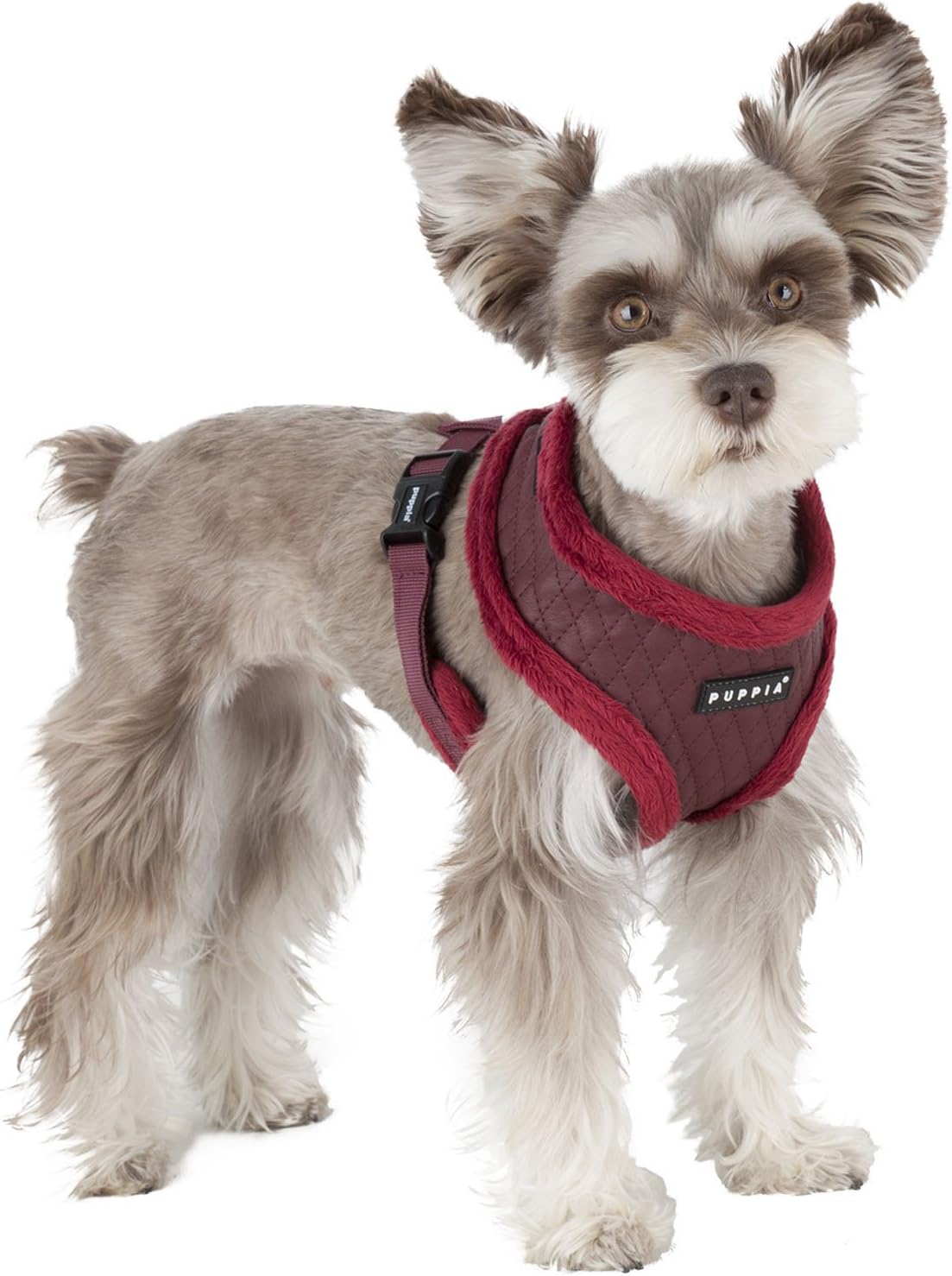 Puppia Farren Harness A, Small, Red, Wine - Image 4