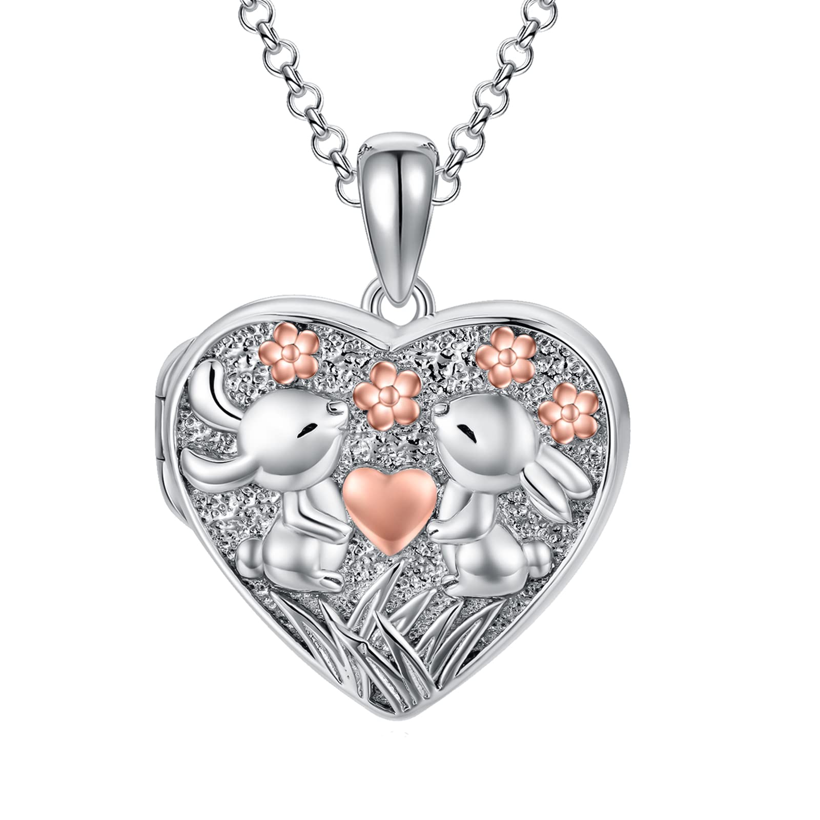 SOULMEET Bunny Heart Locket Necklace That Holds 2 Pictures Photo Locket Rabbit Jewelry Gift for Women Girls(Locket only)