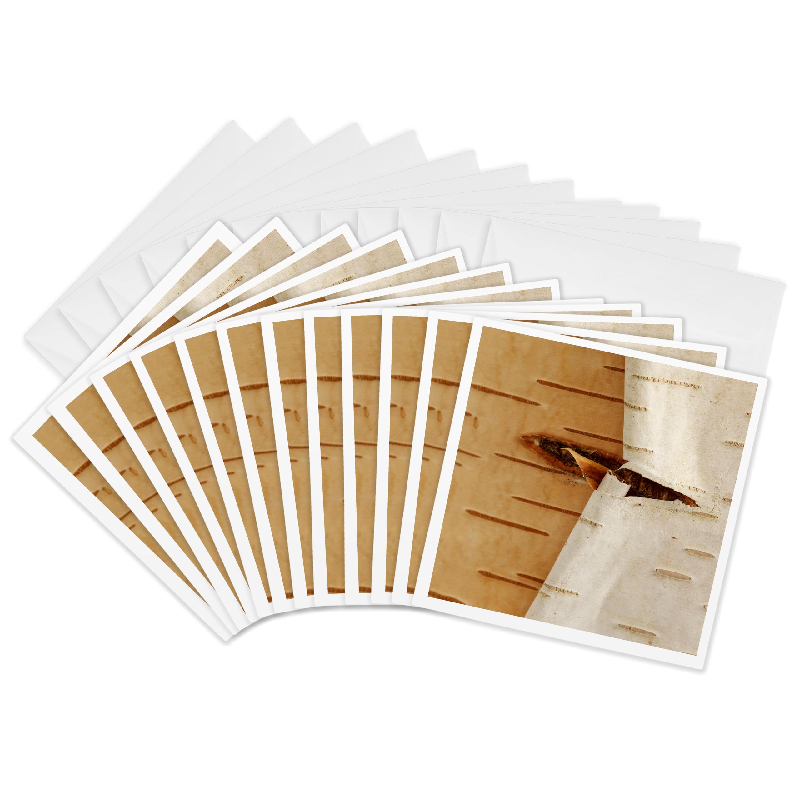 3dRose gc_251376_2 6 x 6-Inch "Oregon, Keizer, Peeling Bark on a Paper Birch" Greeting Card (Set of 12)