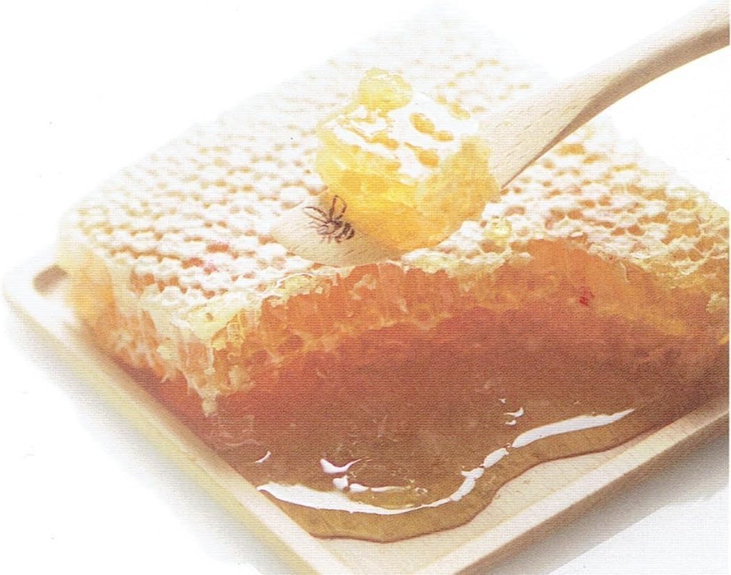 Amazon コームハニー 340g オールビー はちみつ 通販