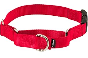 PetSafe Martingale Collar with Quick Snap Buckle, 3/4" Medium, Red