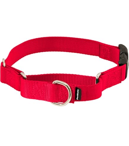 Amazon.com : Training Blue Color Coded S M L XL Buckle Dog