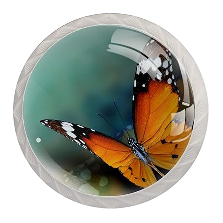 Schrankknöpfe 4er Pack Schmetterling breitete seine Flügel aus
