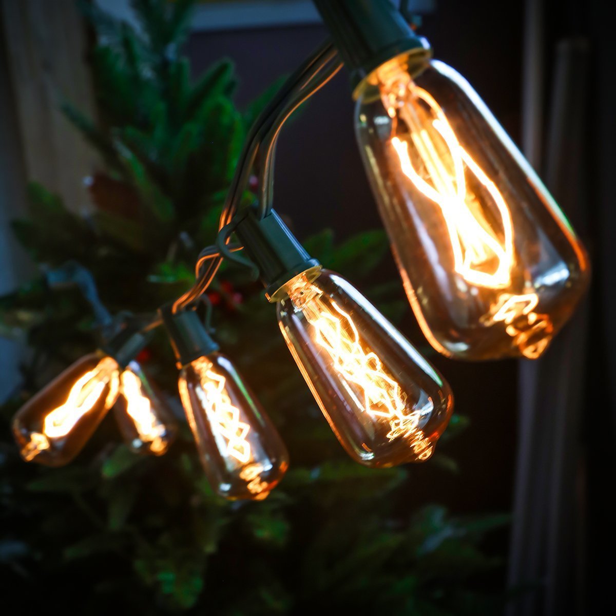 Set of 10 Glass ST40 Edison Style Bulb String Lights