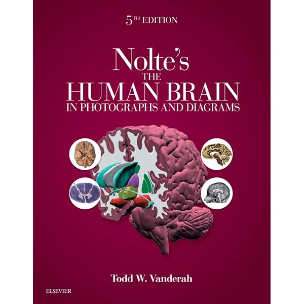Atlas of Human Brain Connections 洋書 匿名配送 Atlas of Human