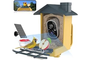 oddkont Bird Feeder with Camera - Smart Bird Cam with AI Identify BirdSpecies, Auto Record BirdVideo, Instant Notifications, 2K Video Live Stream Camera with Solar Panel for Birds Lover