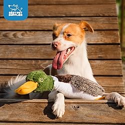Best Pet Supplies Interactive Squeaky Dog Chew