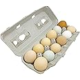 Stromberg's Large Blank Egg Cartons, Bulk Pack for Large Eggs, Perfect for Custom Branding, Safe & Secure Egg Storage, Convenient Stacking for Easy Transport, 125 Pack