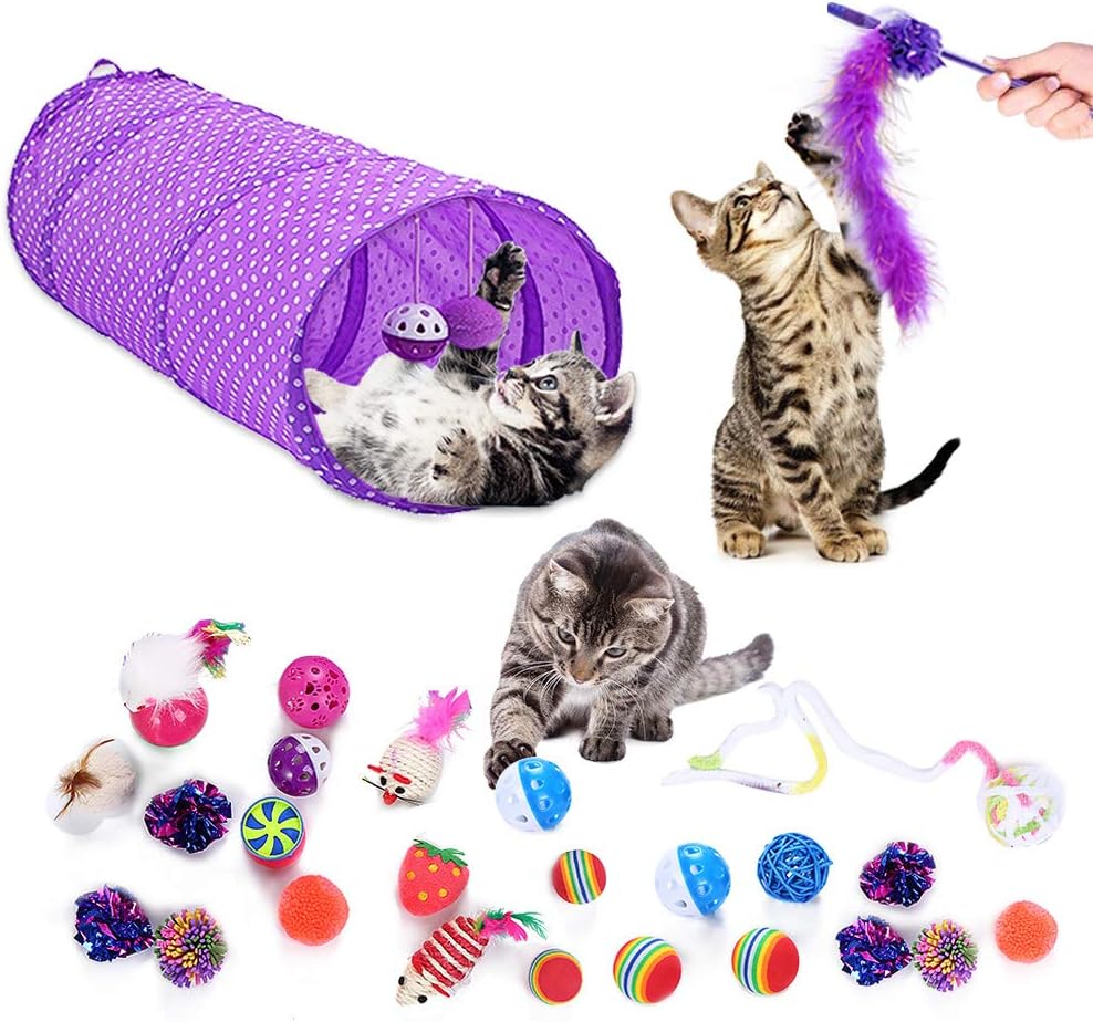 best kitten toys on amazon