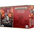 Warhammer Age of Sigmar Games Workshop Slaves to Darkness: Chaos Lord On Karkadrak