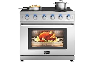 CT Copper Tailor 36 Inch Electric Range with Convection Oven,6.0 cu. ft. Capacity,5 Cooktop Elements, Freestanding Oven, in Stainless Steel
