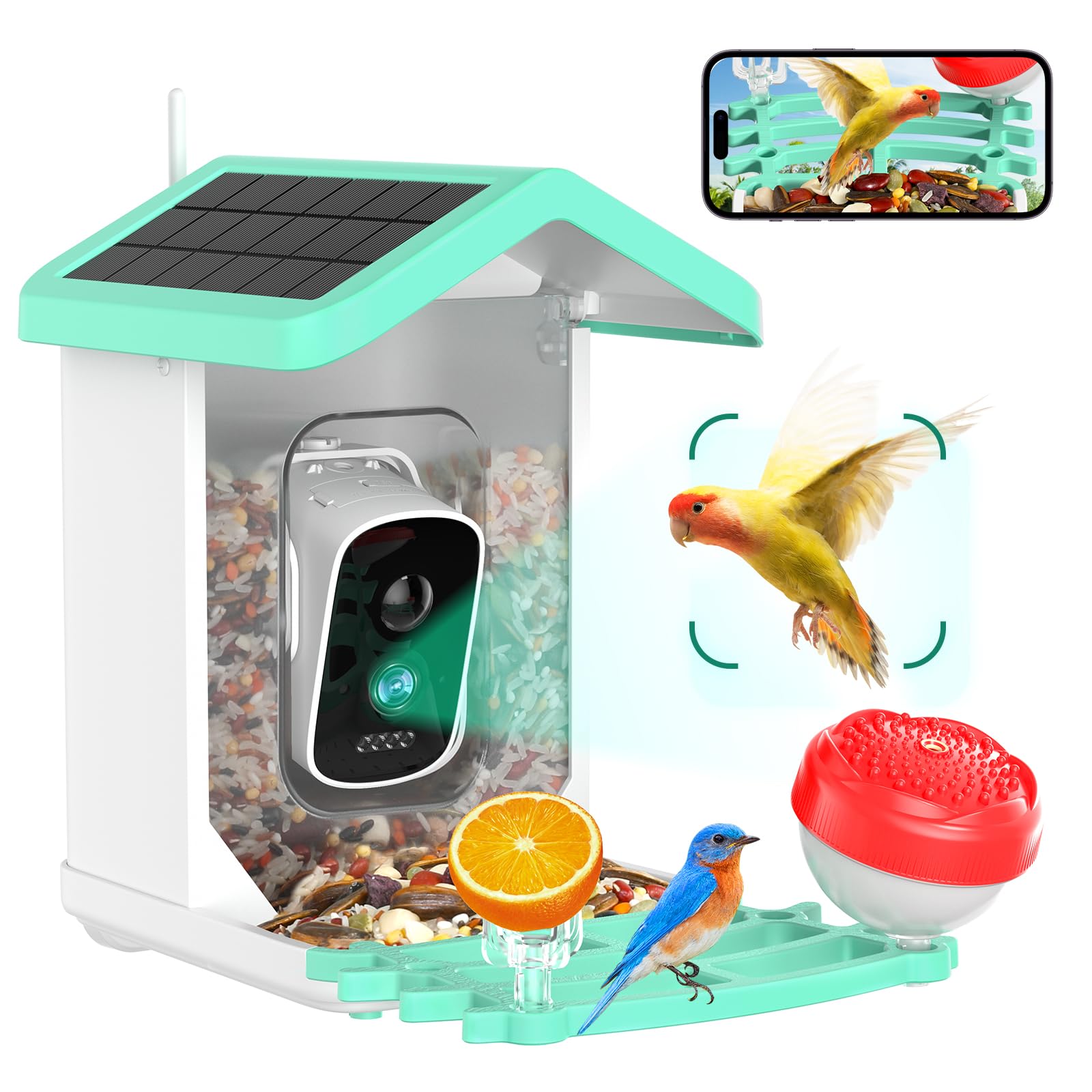 Mangiatoia Per Uccelli Con Telecamera 2K, Pannello Solare E Batteria 5000 MAh, Identificazione AI Di 10.000 Specie, Impermeabile IP65, Regalo Per Amanti Della Natura