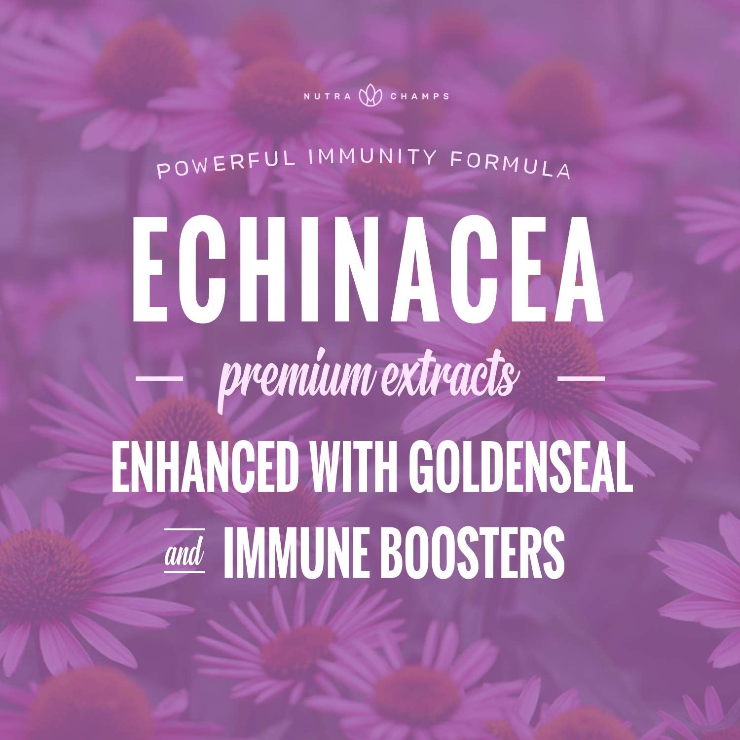 Echinacea Extract 1000mg Supplement with Goldenseal, Elderberry, Organic Reishi, Ginger, Vitamin C & Zinc - BioPerine for Superior Absorption - Immune System Boost & Overall Wellness Vegan Capsules: Health & Personal Care