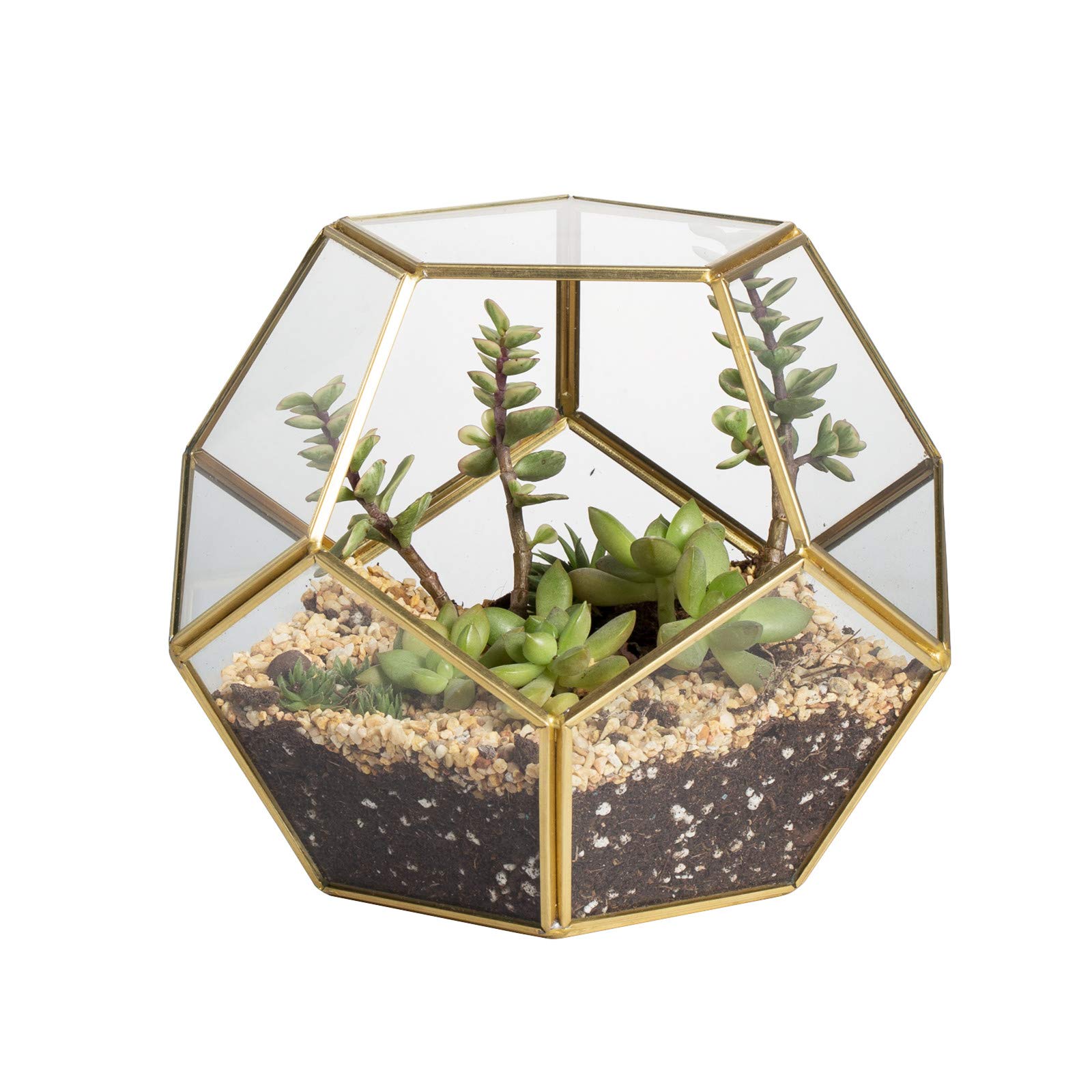 Handmade Gold Brass Tabletop Geometric Pentagon Ball Shape Open Terrarium for Fern Moss