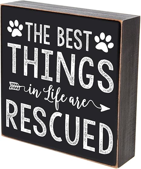 Amazon Com Lifesong Milestones The Best Things In Life Are Rescued Pets Gifts For Dog Cat Pet Lover Gift Box Birthday Gifts For Pets 6x6 The Best Things Are Rescued Home Kitchen