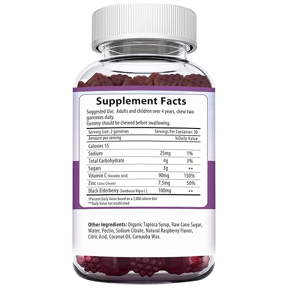 HERBION ELDERBERRY GUMMIES WITH VITAMIN C & ZINC – HEALTHY IMMUNE SYSTEM SUPPORT – GLUTEN-FREE & GELATIN-FREE – 60 GUMMIES FOR ADULTS & CHILDREN 4 YEARS & ABOVE – MADE IN USA, 60 COUNT (PACK OF 1)