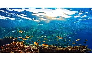 YongFoto 30x12 Inches Aquarium Terrarium Background Underwater World Blue Sea Tropical Ocean Coral Marine Life Fish Tank Backdrop for Photography