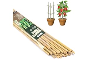 Cambaverd Bamboo Garden Stakes 3 Feet Plant Stakes for Roma Tomatoes Sunflowers Beans Potted and Climbing Plants - Pack of 25 Bamboo Sticks