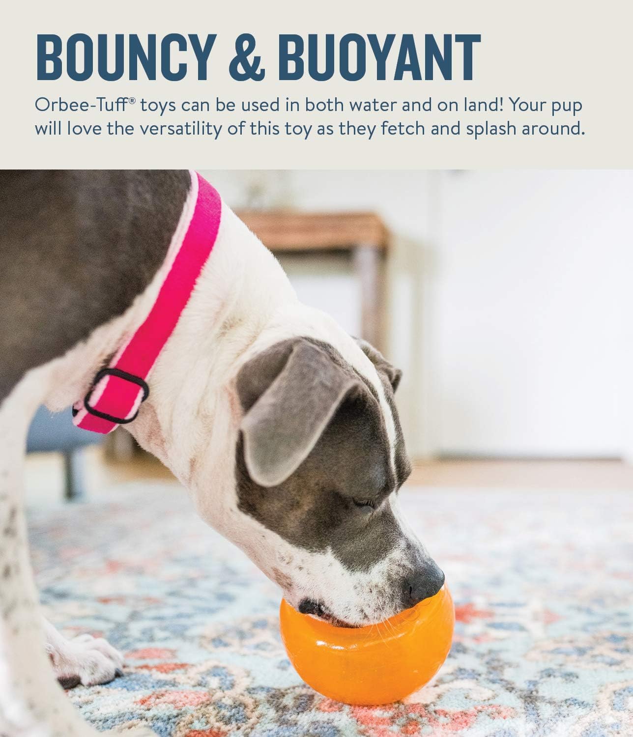 Outward Hound by Planet Dog Snoop Durable Interactive Treat Dispensing Dog Toy, Large, Orange, Orange Snoop, One-Size - Image 5