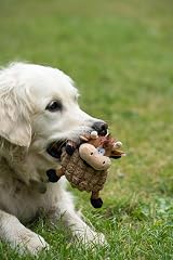Petface Farmyard Buddies Chunky Cow Plush Dog Toy view 4