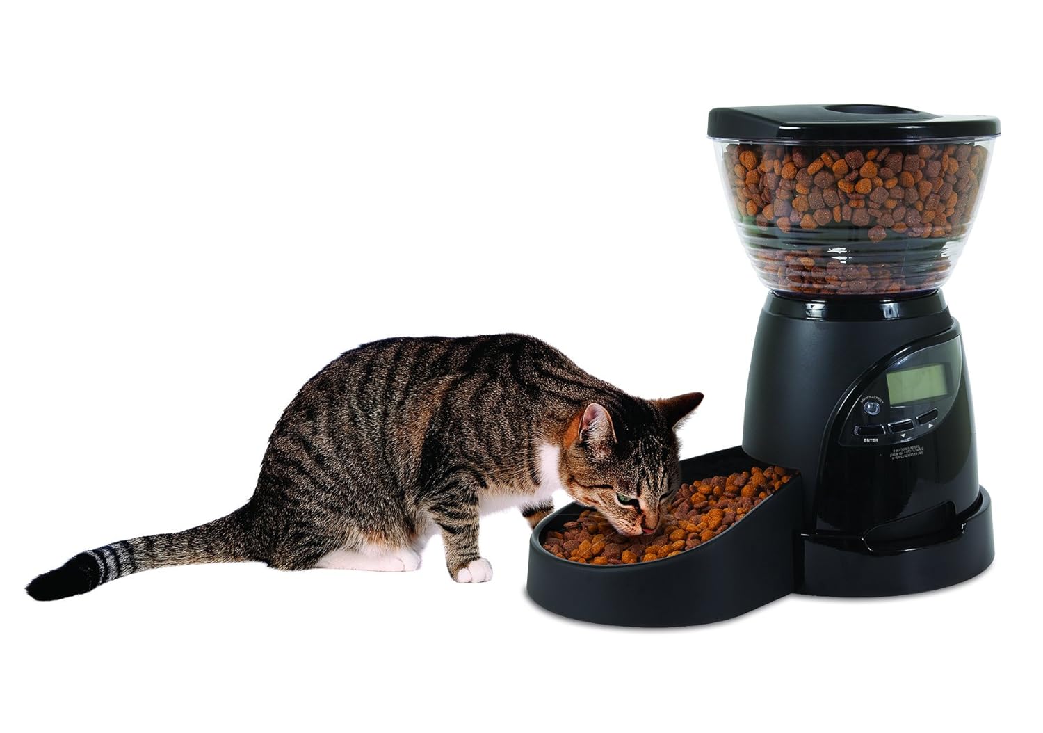 Amazoncom Aspen Pet Lebistro Programmable Food Dispenser 18