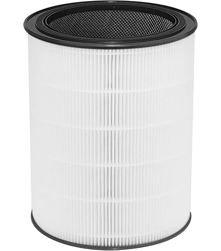 Amazon.com: Green Piece® True HEPA Replacement Filter for Air