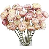 CITYES 20 Pcs Natural Dried Daisy Flowers Bouquet Dried Flower Pink Daisies Dried Sunflowers Chrysanthemum with Stem for Wedding Farmhouse Table Vase Decor Home DIY Flower Arrangement