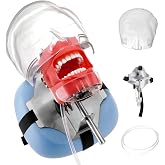 4E 4E'S USA Dental Manikin Simulator Phantom Head (28 Teeth)：Dental Mannequin Head with Detachable Teeth, 180-Degree Rotatable, Height Adjustable, Bandage Installation