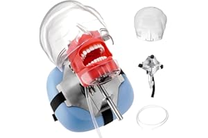 4E 4E'S USA Dental Manikin Simulator Phantom Head (28 Teeth)：Dental Mannequin Head with Detachable Teeth, 180-Degree Rotatable, Height Adjustable, Bandage Installation