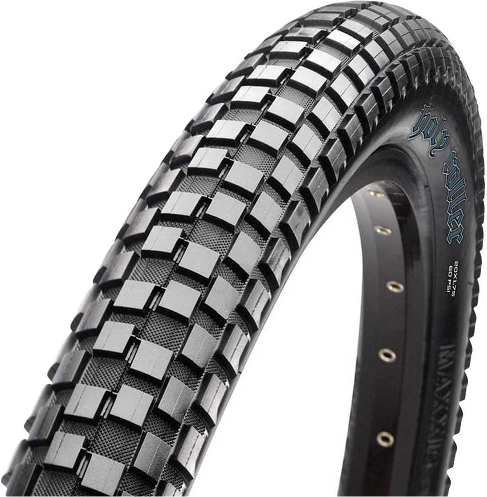 maxxis holy roller 20x2 20