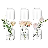 Glasseam Bud vases Set of 6: Glass Vases for Centerpieces Modern Small Vases for Home Table Shelf Wedding Party Decoration - Clear Vase for Flowers Stem Roses Tuilps Cuttings
