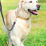 UKCOCO 90mm Brass Double Ended Bolt Snap Hook Clasp for Dog Leash Bag Strap view 8
