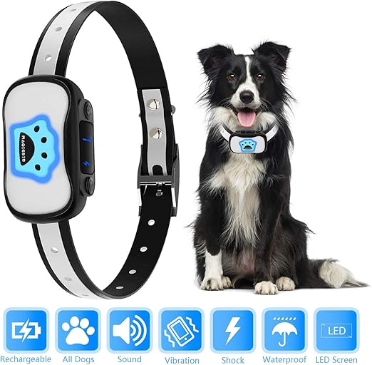 shock dog collar amazon
