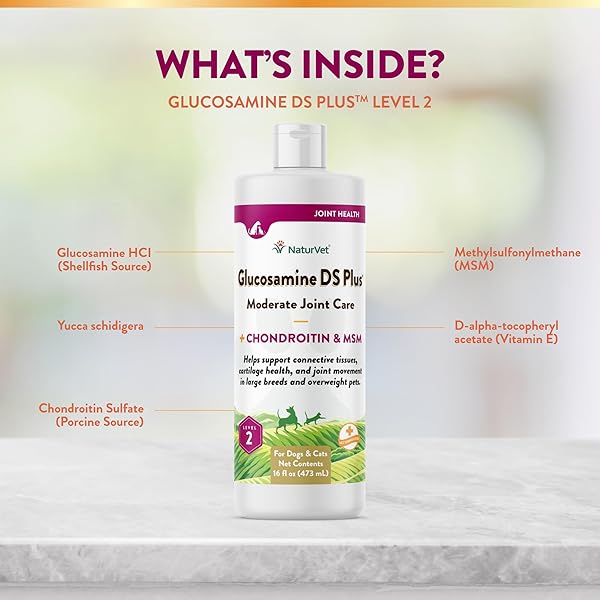 NATURVET GLUCOSAMINE DS PLUS HIP & JOINT SUPPORT LIQUID PET SUPPLEMENT – LEVEL 2 MODERATE CARE FOR DOGS & CATS – INCLUDES GLUCOSAMINE, MSM, CHONDROITIN – 16 OZ