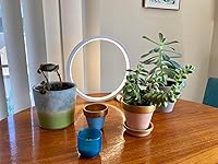 Review Image by Rachel