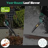 POSENPRO Cordless Leaf Blower 20V 4.0Ah Battery 2 Speed Turbo 580 CFM view 5