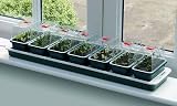 Garland Super7 Electric Heated Windowsill Propagator G51 76cm x 18.5cm x 15cm view 2