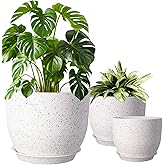 10/9/8 inch Plant Pots, 3 Pack Plastic Flower Pots Modern Flower Pots with Drainage Holes and Trays are for Indoor and Outdoo