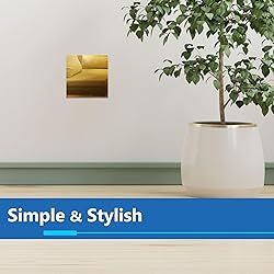 LIDER Double Blank Wall Plate, Temperature and