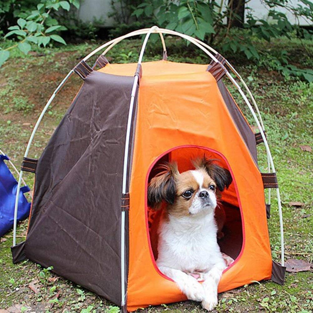 dog outdoor tent