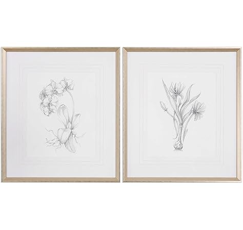 Amazon Com Uttermost Grace Feyock 2 Piece Botanical Floral Sketch Print Set Posters Prints