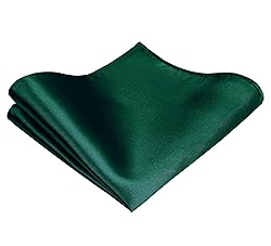 TIE G Solid Satin Color Formal Necktie and Pocket
