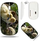 Liili Wireless Mouse White Base Travel 2.4G