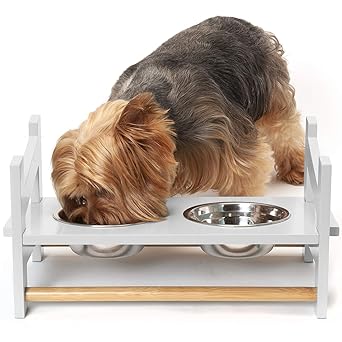 small dog feeding station