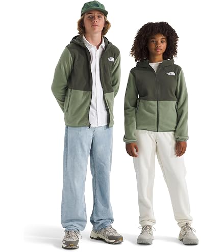 Amazon.com: The North Face Kids' Campshire Full Zip Hoodie | Cozy
