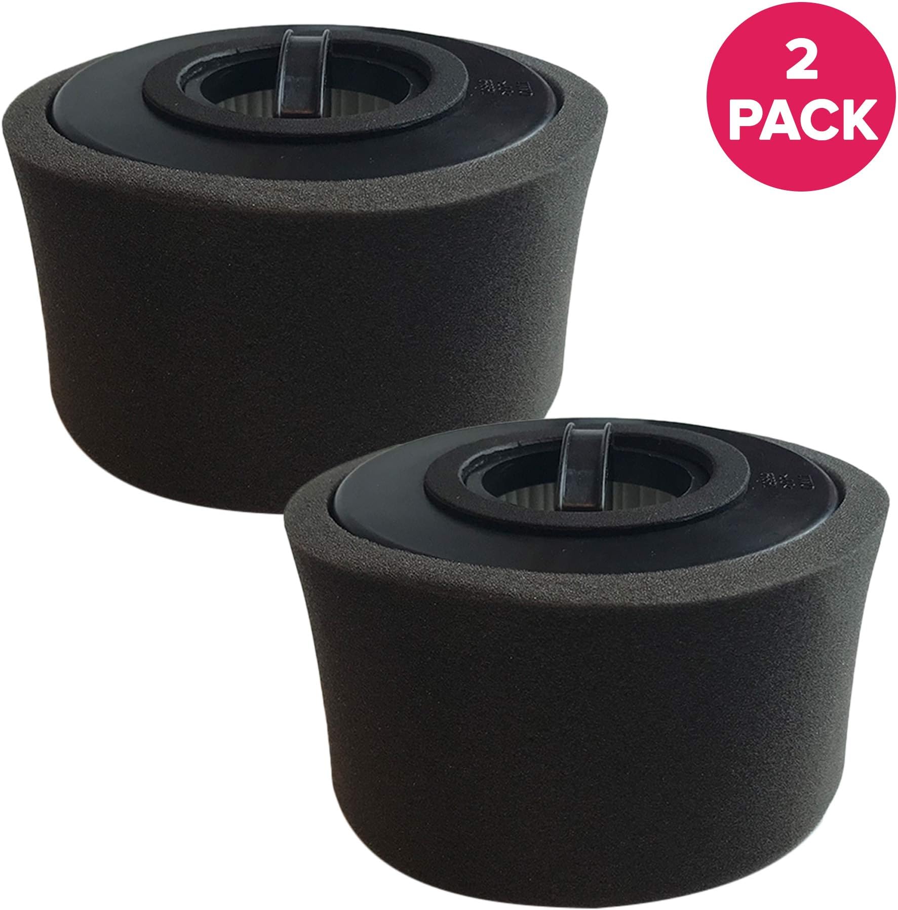 Crucial Vacuum Replacement Vacuum Filter Compatible with Eureka Part # DCF-20, DCF20, 79902-4 & Models 3041, 3041AQU, 3041QU, 3041AZ, 3041AZE, 3041BZ, 3041RED Home Vac - Bulk (2 Pack)