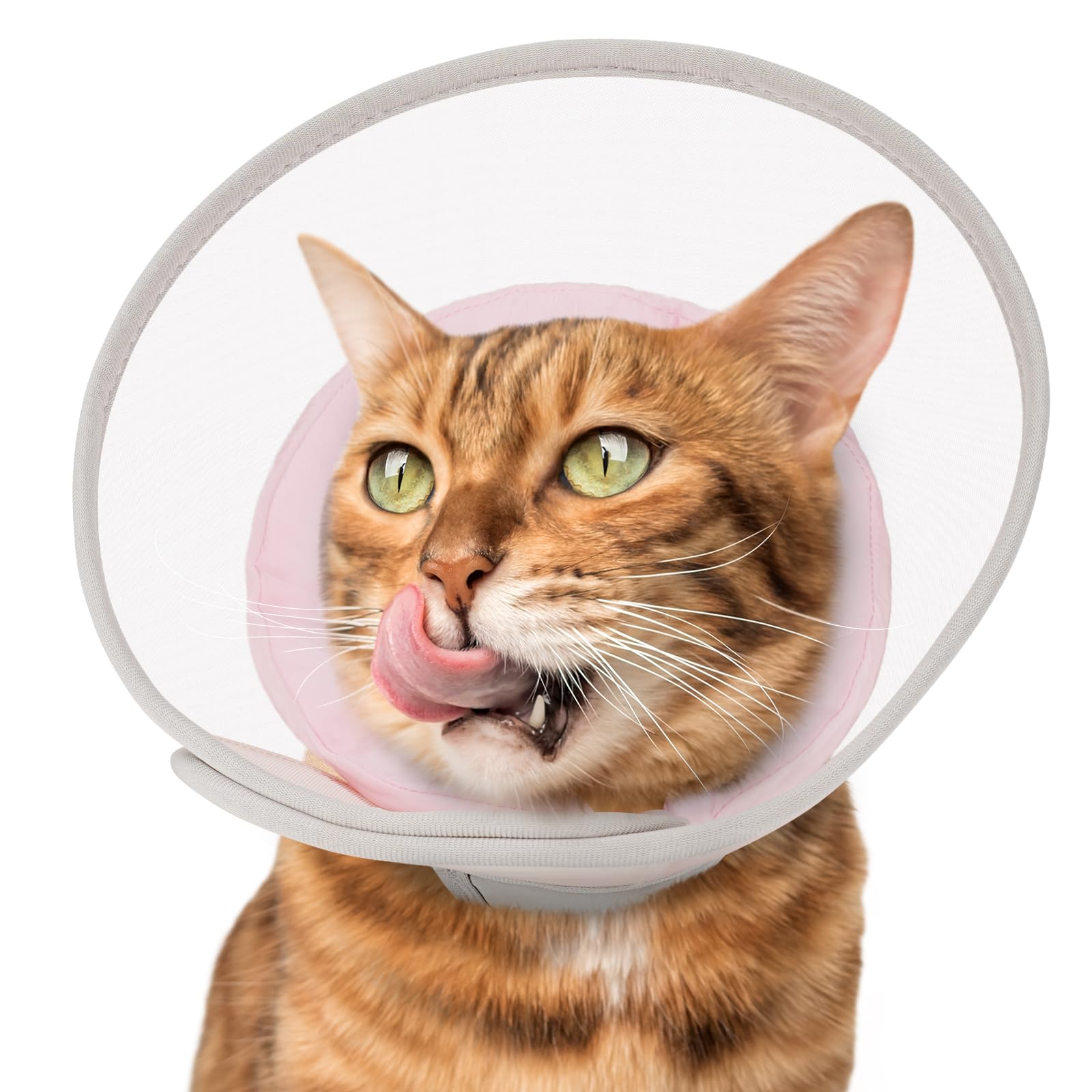 Photo 1 of Cat Cone Collar Soft: Comfortable Waterproof Mesh Recovery Cone After Surgery to Stop Licking and Scratch, Alternative to Plastic Elizabeth Head/Neck Cone