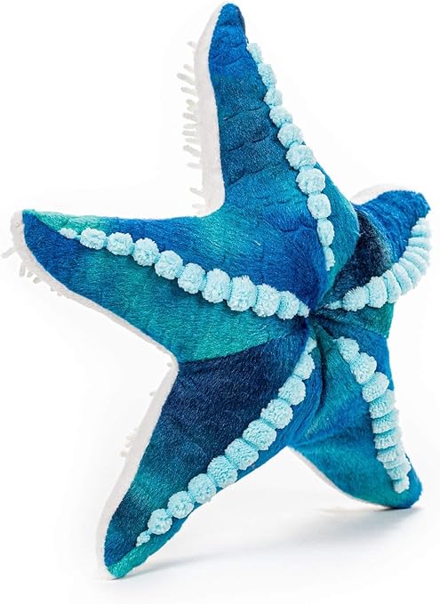 seastar blue shoes