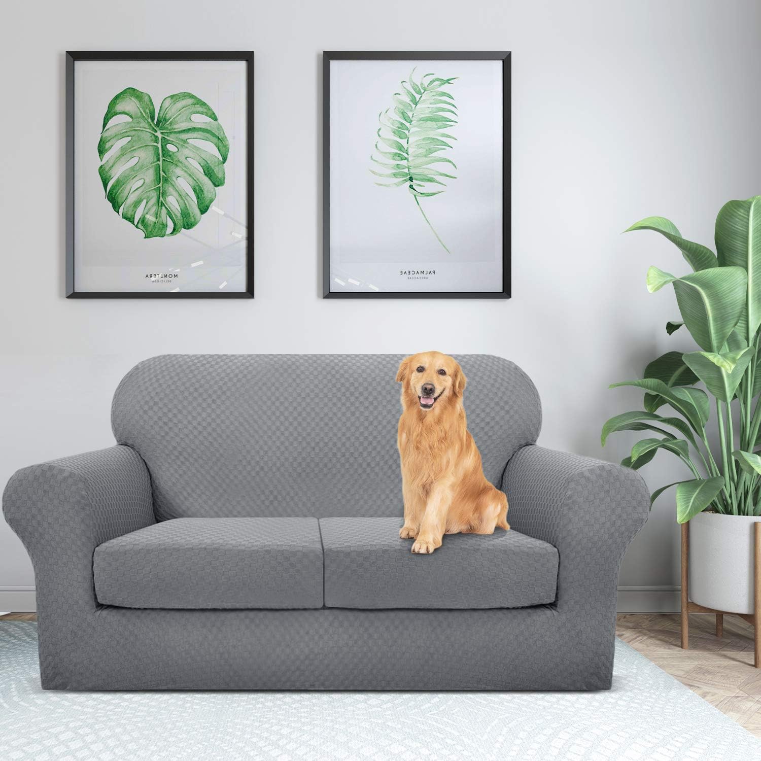 YEMYHOM Latest Checkered 3 Pieces Couch Covers for 2 Cushion Couch High Stretch Thickened Love Seat Sofa Cover for Dogs Pets Anti Slip Elastic Loveseat Slipcover Protector (Loveseat, Light Gray): Kitchen & Dining