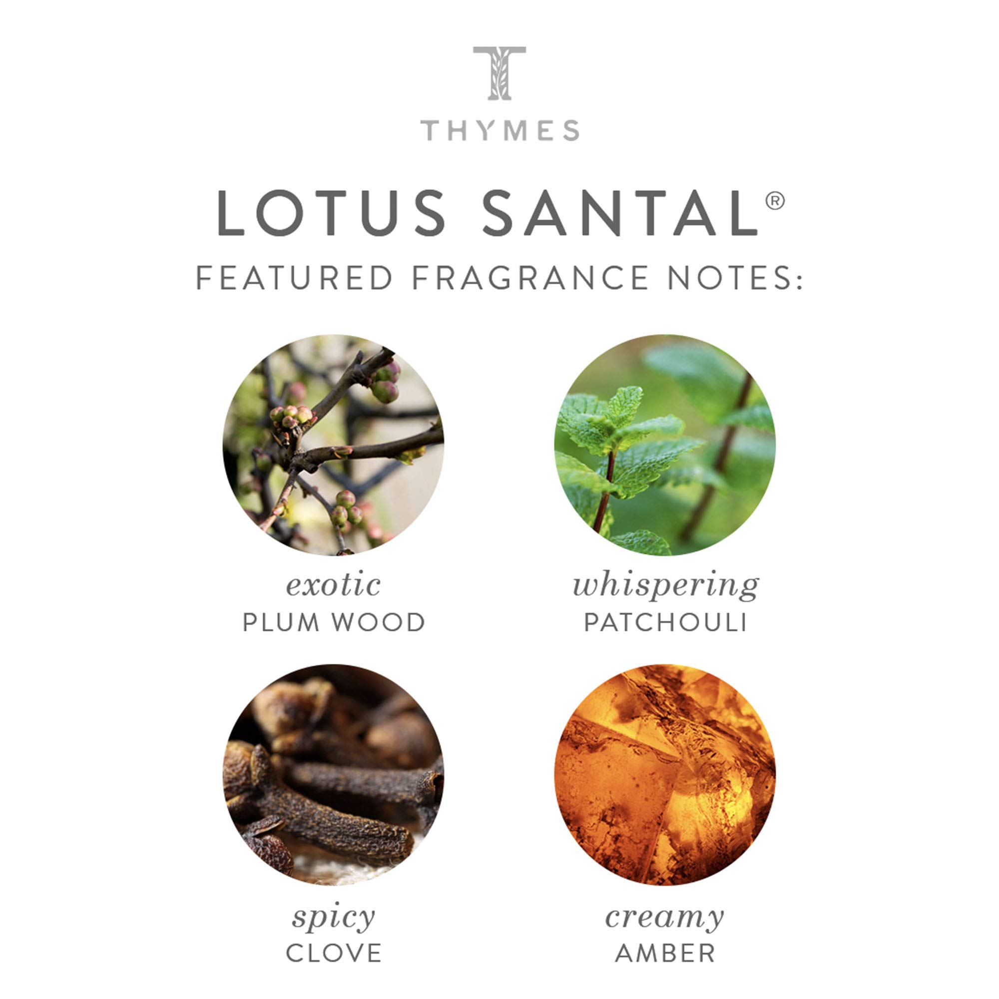 Thymes lotus santal